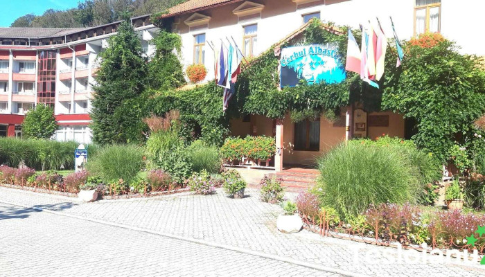 Hotel Panoramic -  Telefon - Moneasa