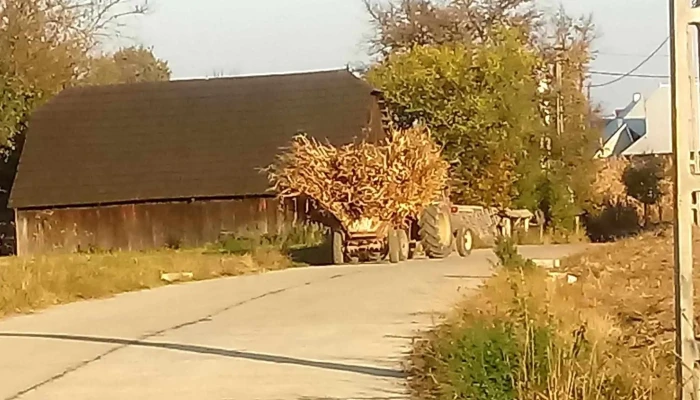 Iaslovat Promoție - Romania