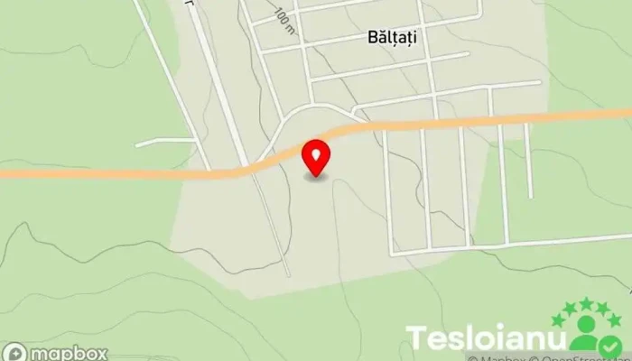 Iaz Baltati - Bălțați