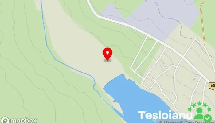 hartă a Iaz Costesti Lac de pescuit în Costești