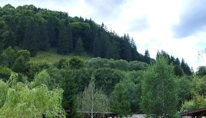 Iazul Din Vama Deschis Acum - Vama Buzăului