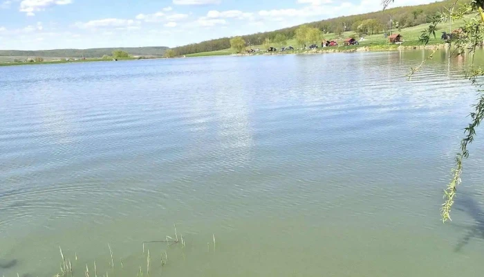 Iazul Suharau -  Cele Mai Recente - Romania