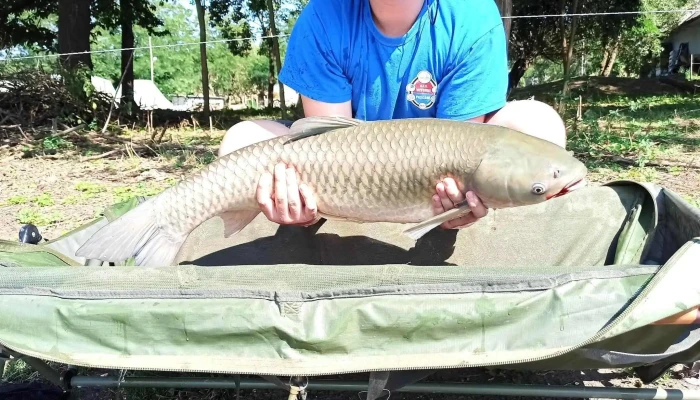 Iazul Suharau -  Videoclipuri - Romania