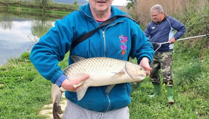 Iazul Sylva -  Adresă - Romania