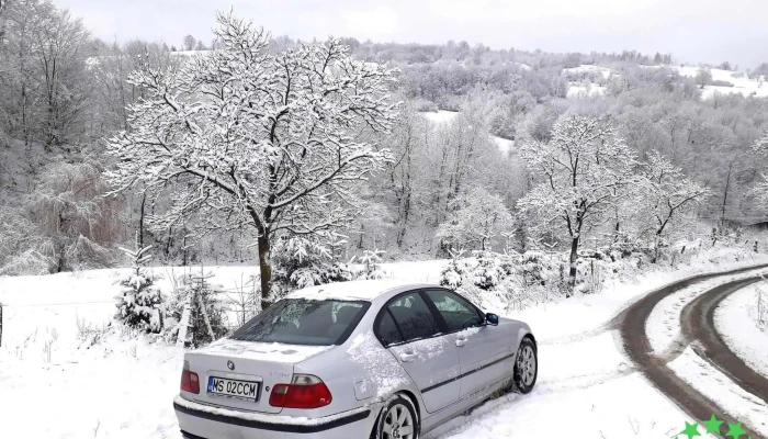 Idicel -  Padure Instagram - Idicel-pădure