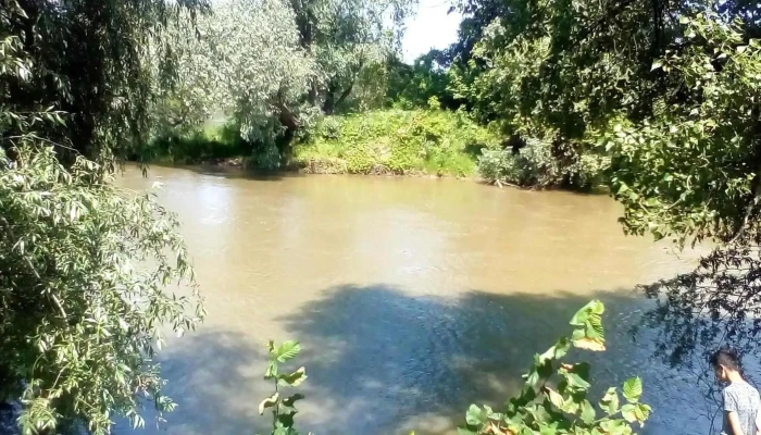 Igris Număr - Igriș