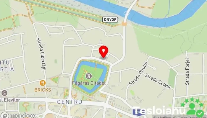 hartă a I.I.Virlan Ionica Servicii de duplicare chei în Făgăraș