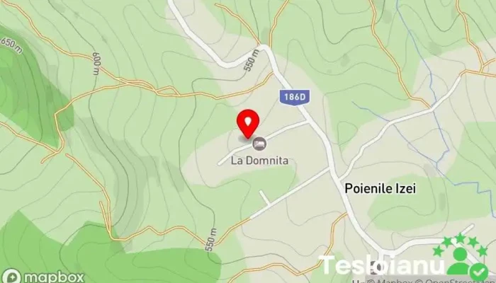 hartă a Ileana Petreuş Bed & Breakfast în Poienile Izei