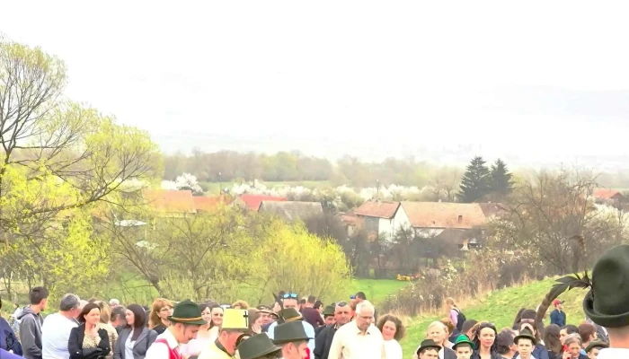 Impuscatul Cocosului La Apata Videoclipuri - Apața