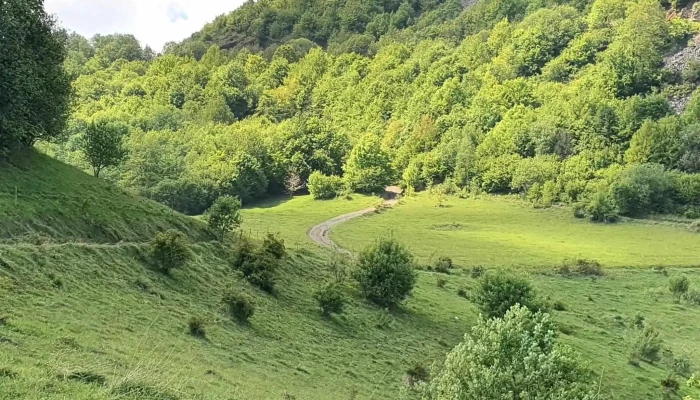 Inchirieri Atv Cunoaste Rosia Montana Reduceri - Roșia Montană