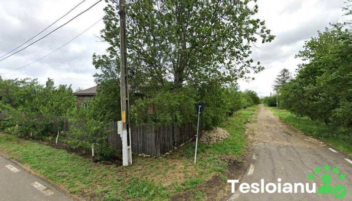 Inspectoare - Toporu 087225