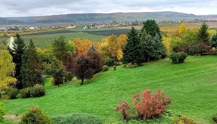 Institutul De Cercetare Dezvoltare Pentru Pomicultura Pitesti Maracineni Fotografii - Mărăcineni
