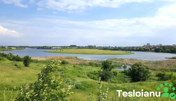 Insula Dobroești - Romania