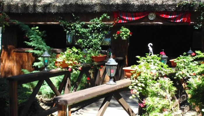 Insula Ovidiu -  Site Web - Ovidiu