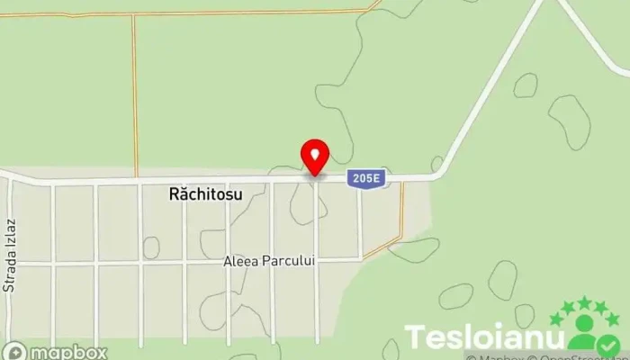 hartă a Ionuț service auto Mecanic auto în Răchitosu