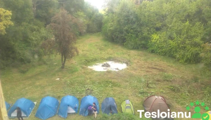 Isu Ilfov -    Punct De Lucru Moara Vlasiei Unde - Căciulați