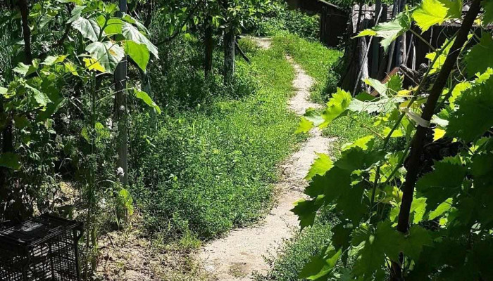 Ivesti Reduceri - Ivești
