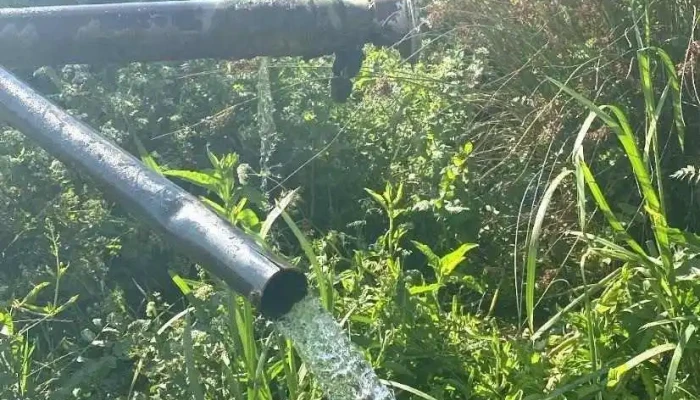 Izvor Apa Vinga Unde - Vinga