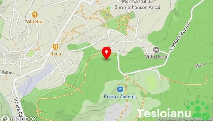hartă a Izvorul 10 Atracție turistică în Borsec