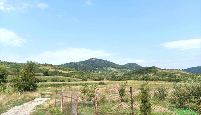 Jabenita Site Web - Jabeniţa