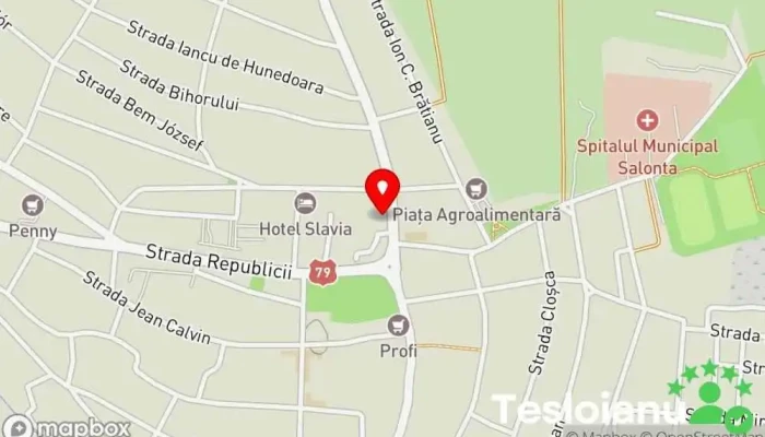 hartă a Judecătoria Salonta Tribunalul local în Salonta