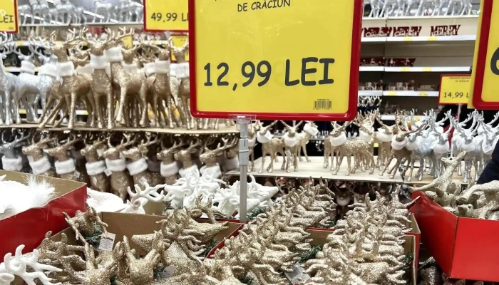 Jumbo Bacau -  Fotografii - Nicolae Bălcescu