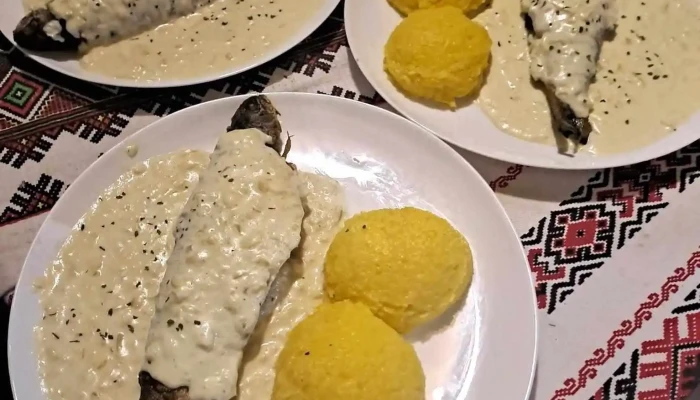 Koaja Bukovina -  Polenta - Falcău