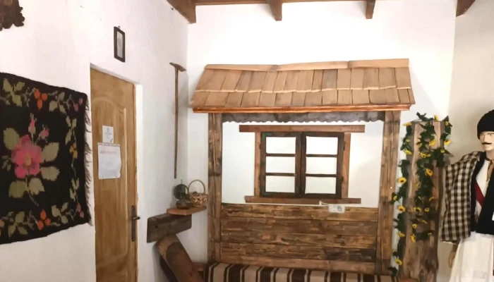 Koaja Bukovina -  Zonă - Falcău