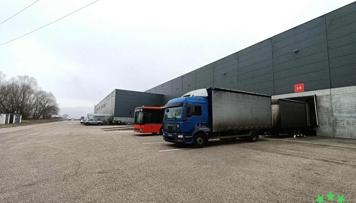Kshg Auto Electrical Romania Srl -  Comentarii - Băcia