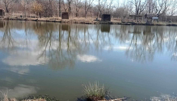 La Balta Pescarului Xfish Drăgănești-Olt - România