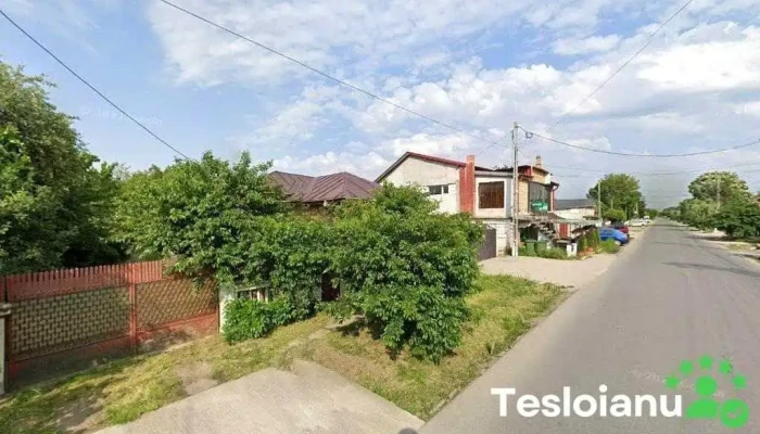 La Blondutzu - Joița