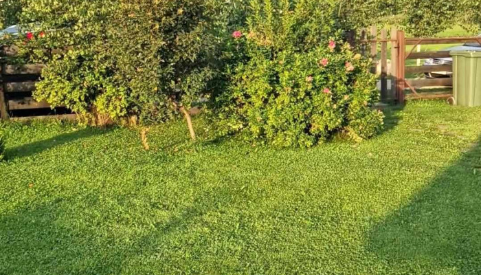 La Casute Bran -  De La Vizitatori - Strada Branului