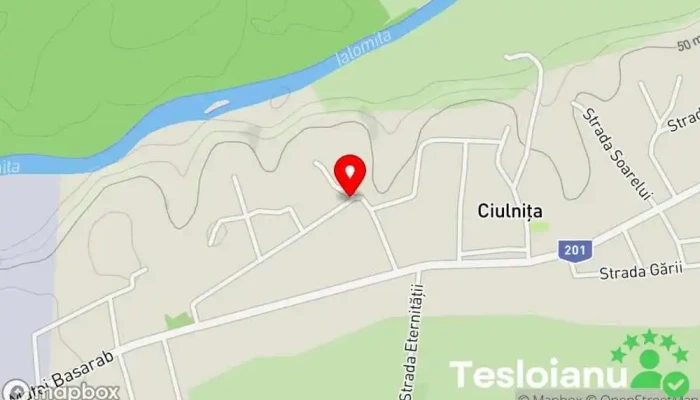 hartă a La Colonelu Service auto în Ciulniţa