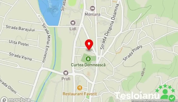 hartă a La Costică Restaurant cu specific românesc în Curtea de Argeș