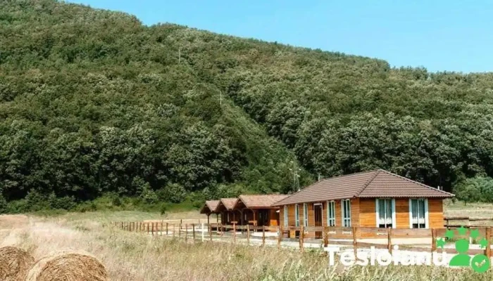 La Căsuțe - Șuncuiuș
