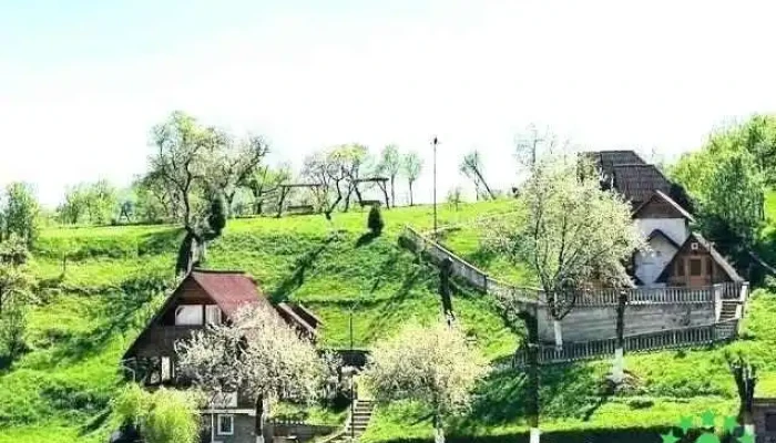 La Domnita - Poienile Izei