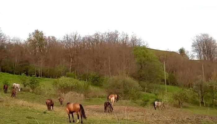 La Haiducu -  Instagram - Valea Viilor