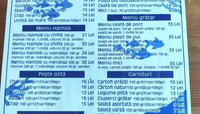 La Hamsie -  Site Web - Mamaia-sat