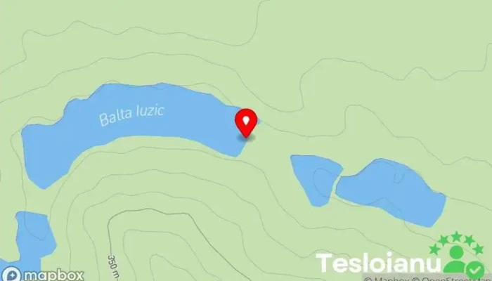 hartă a LA IUZIC Lac de pescuit în Horodniceni