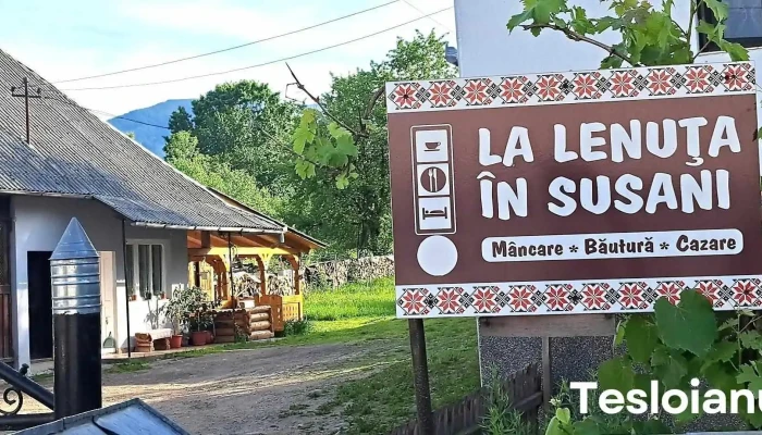 La Lenuta In Susani Fotografii - Breb