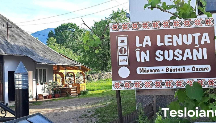 La Lenuța În Susani - Breb