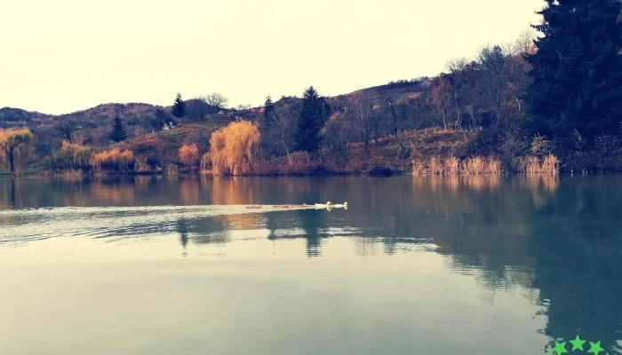 La Magaru Tavalit   Agroturism De La Proprietar - Nucșoara