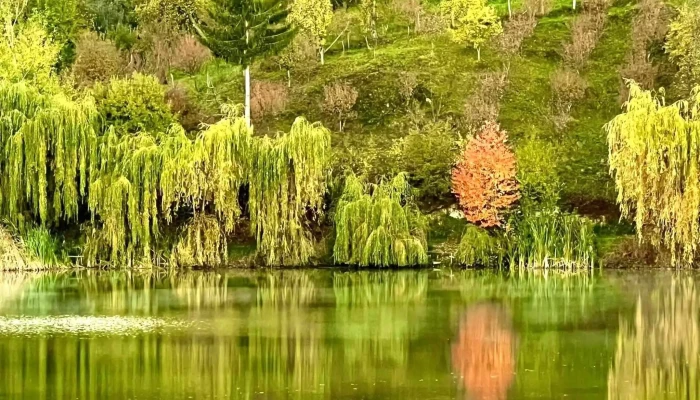 La Magaru Tavalit   Agroturism Fotografii - Nucșoara