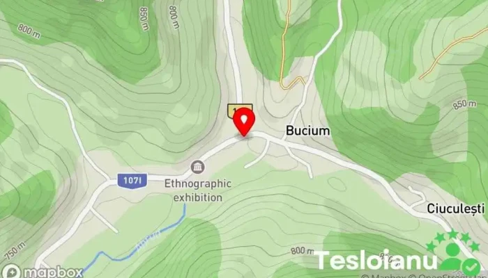 hartă a La Mătușa Bar în Bucium