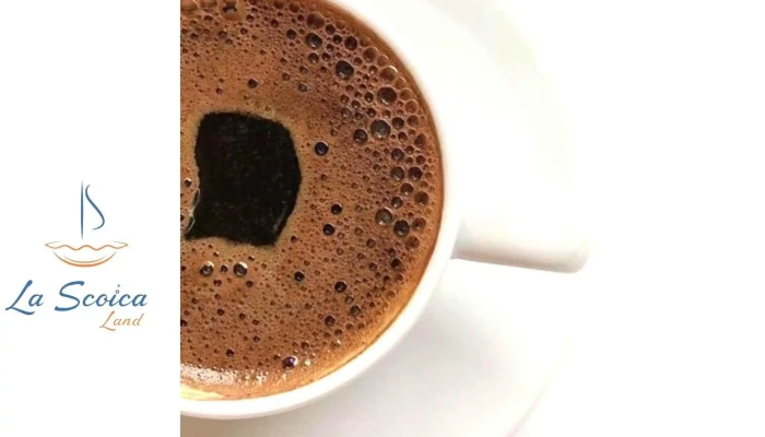La Scoica Land -  Cafea - Mamaia-sat