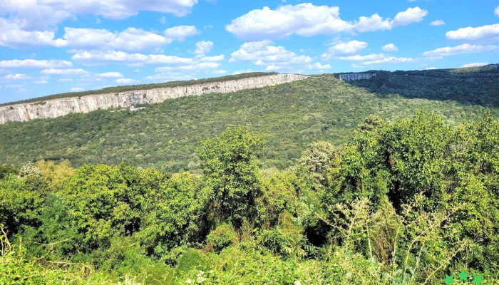 La Tatuca Si Mamuca De La Vizitatori - Bosanci