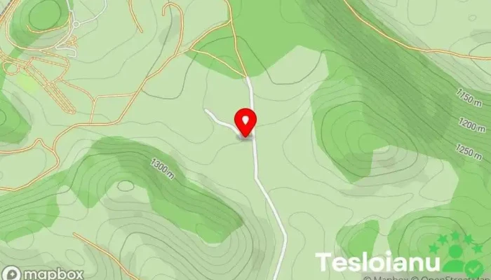 hartă a La Vulturi Bed & Breakfast, Pensiune în Strada Principală nr 131d