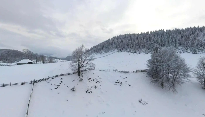 La Vulturi -  Street View Si 360deg - Strada Principală Nr 131d