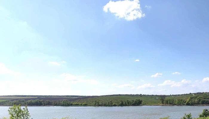 Lac Ciurbesti Număr - Dumbrava