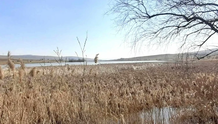 Lac Ciurila Filea2 -  Adresă - Filea De Jos
